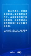 联播+|独木不成林 习近平这样夯实金砖合作之基